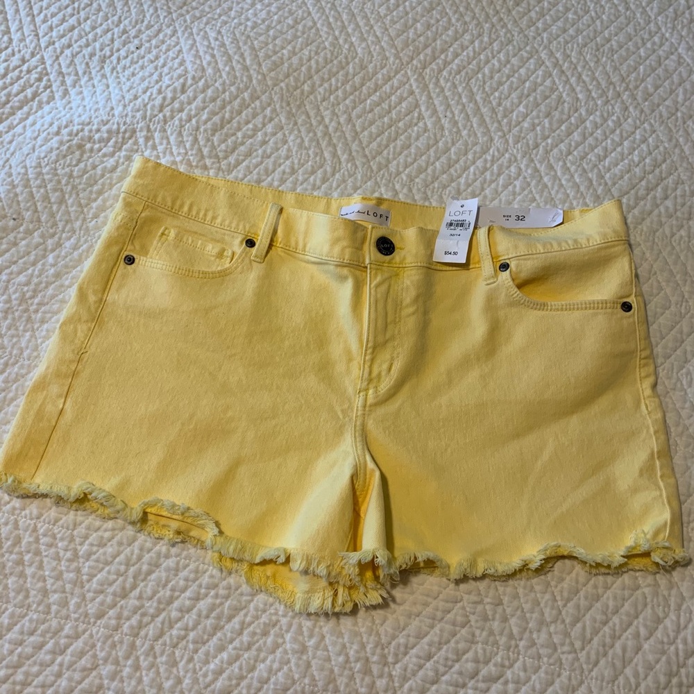 Loft shorts